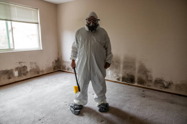 Mold Removal Process in Penns Grove, NJ