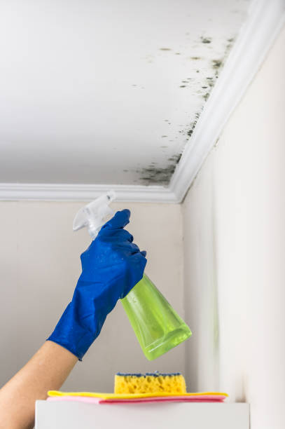 Best Attic Mold Removal  in Penns Grove, NJ